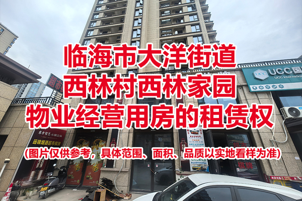 临海市大洋街道西林村西林家园物业经营用房的租赁权